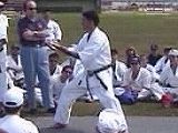 Sensei Khoury performing Seisan